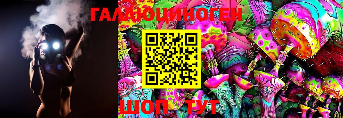 Майкоп  Галлюциногенные грибы Magic Shrooms  закладки  Вход с VPN 
