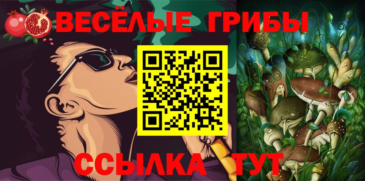Псилоцибиновые грибы мицелий Майкоп